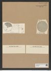 Eupodiscus trioculatus Grev. (de-Toni-Nr.: Genus 177, Species 4463) Zeichnungen Sammlung Grunow Nr. 8031 (NHMW-BOT-W0377339)